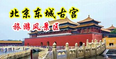 美女在线搞鸡免费视频中国北京-东城古宫旅游风景区